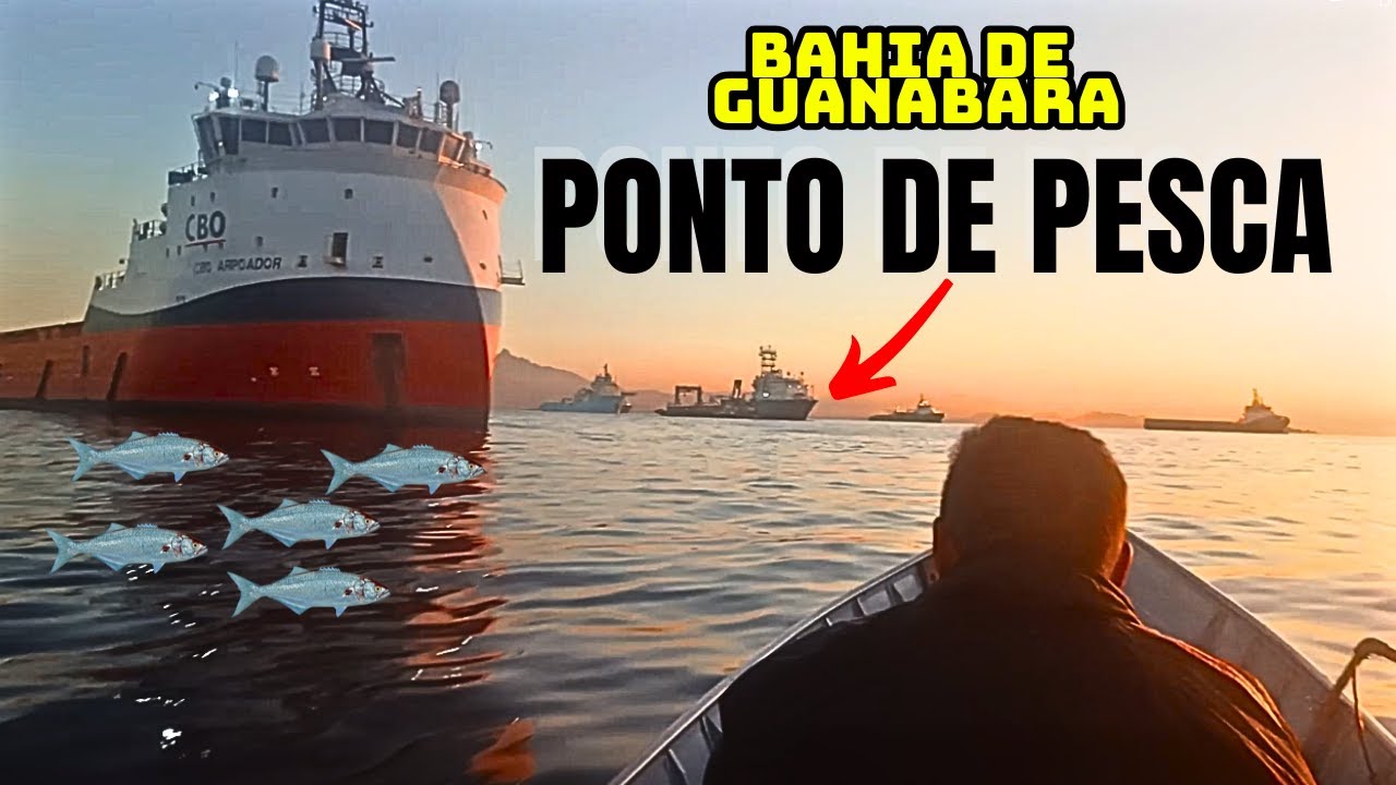 PESCA RAIZ Nunca vi PONTO DE PESCA MELHOR MUITO PEIXE BAHIA DE GUANABARA