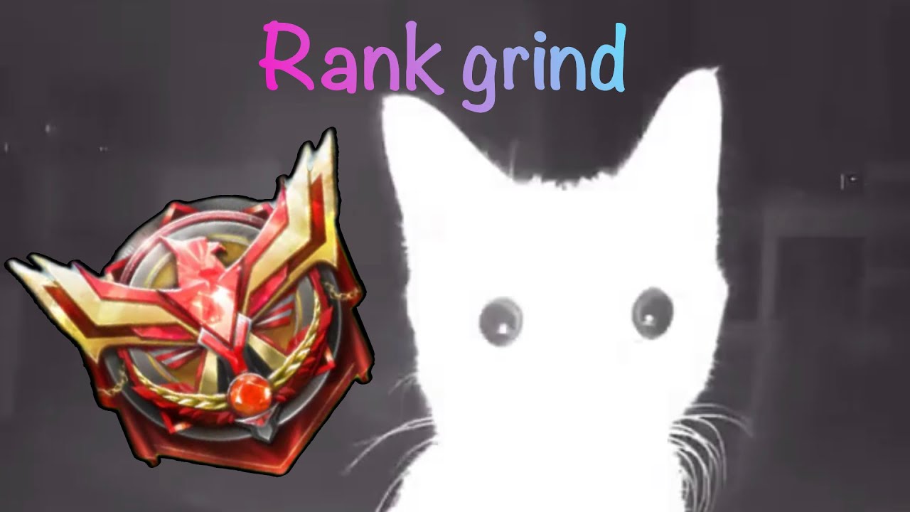 10k points grind | codm
