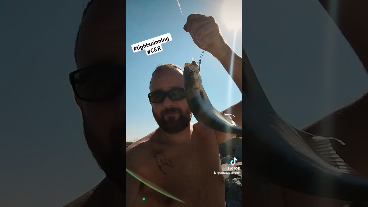 #lightspinning #lecciaamia #fishing #catchandrelease
