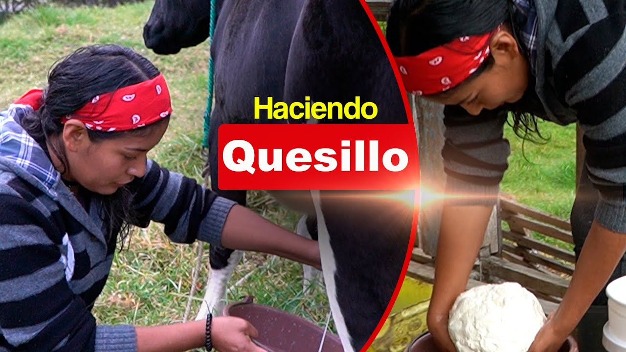 Así es como elaboramos el quesillo en el campo