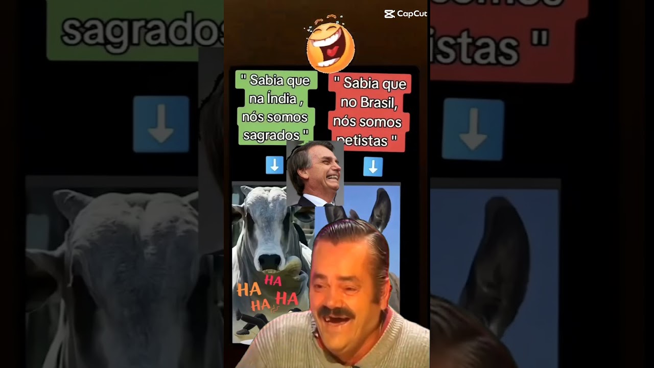 Presidente do Brasil melhor presidente lulu o Bolsonaro ex presidente