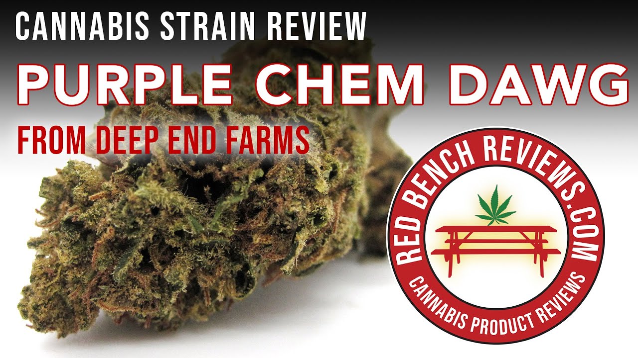 Deep End Farms | Обзор сорта Purple Chem Dawg | 23,50% ТГК!