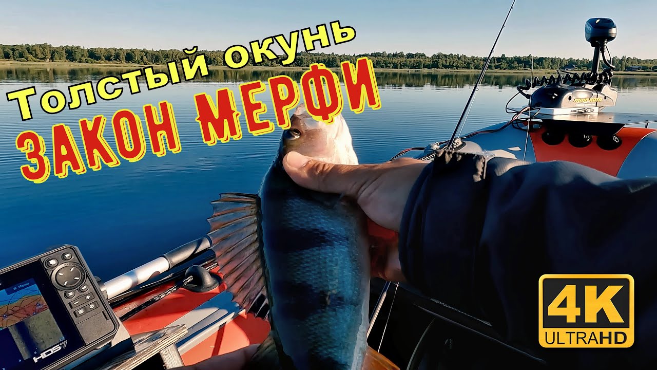 Как поймать крупного окуня, если не сработает закон подлости