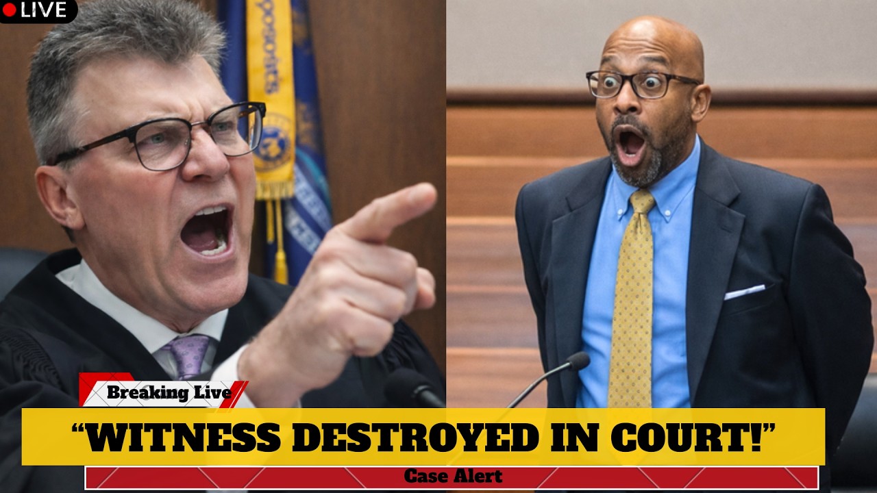 “Judge McNally DESTROYS Witness — Brutal Courtroom SHOCK!