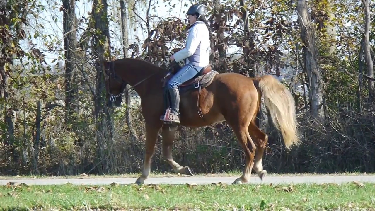 What I really mean by head down!