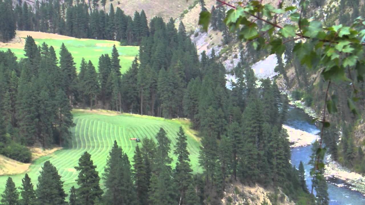 Living in Idaho Back Country