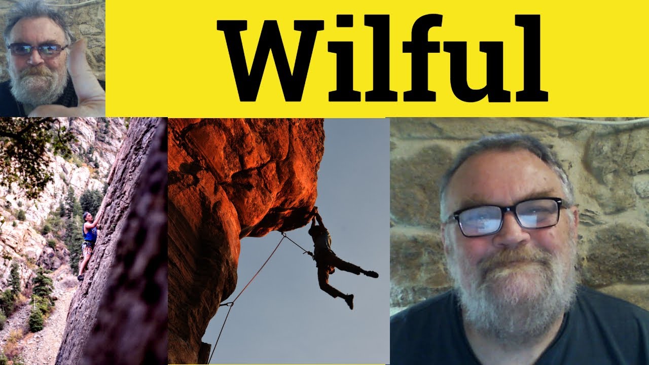 😎 Willful Meaning - Wilful Defined - Willful Examples - Wilful Definition - Willful Wilful