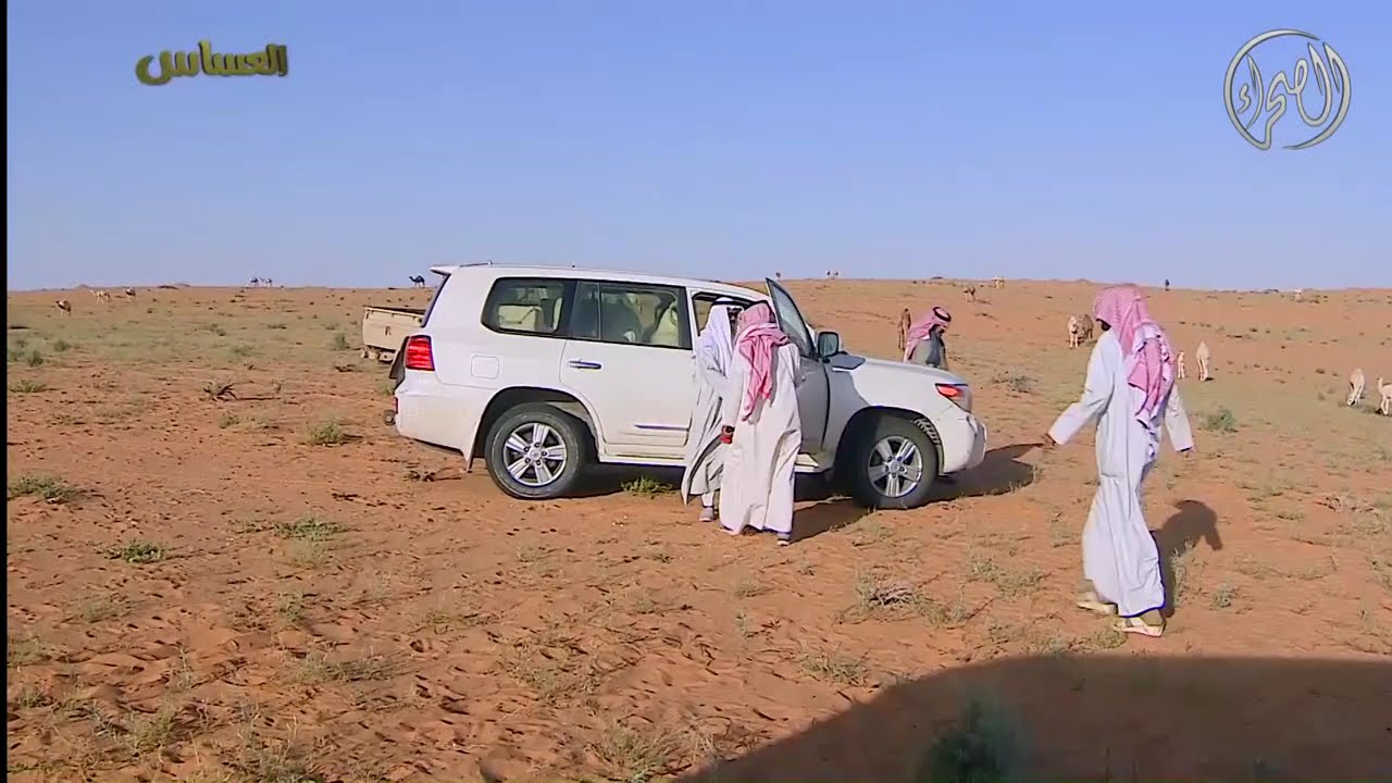 برنامج | العساس - أم رماح شمال تربة حائل |  10 / 6 / 1437 هــ