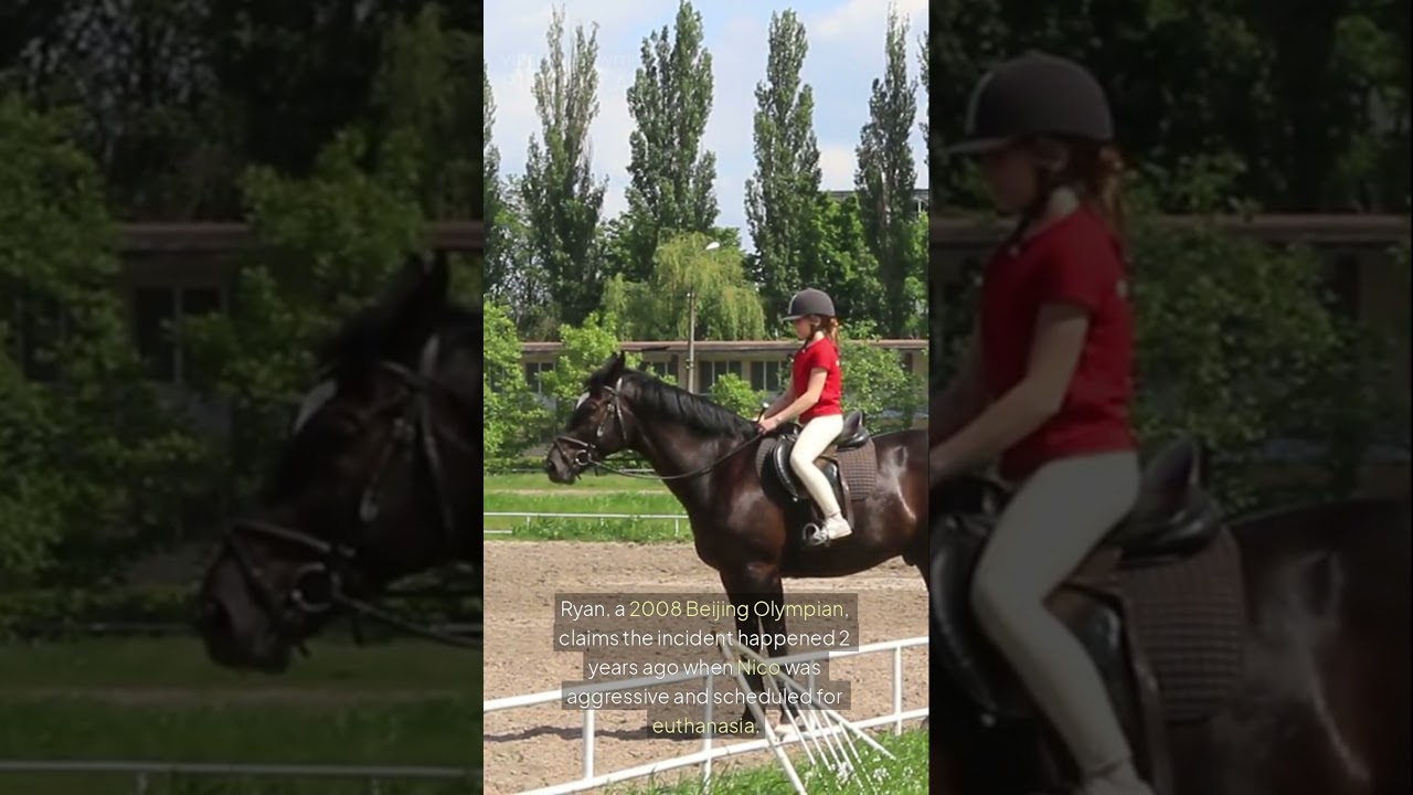 Olympic Coach Suspended After Shocking Horse Whipping Video! 🐎🚨#HeathRyan#AnimalAbuse#OlympicScandal