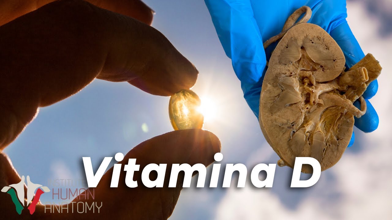 Porqu&eacute; necesitas vitamina D y c&oacute;mo la obtienes del sol