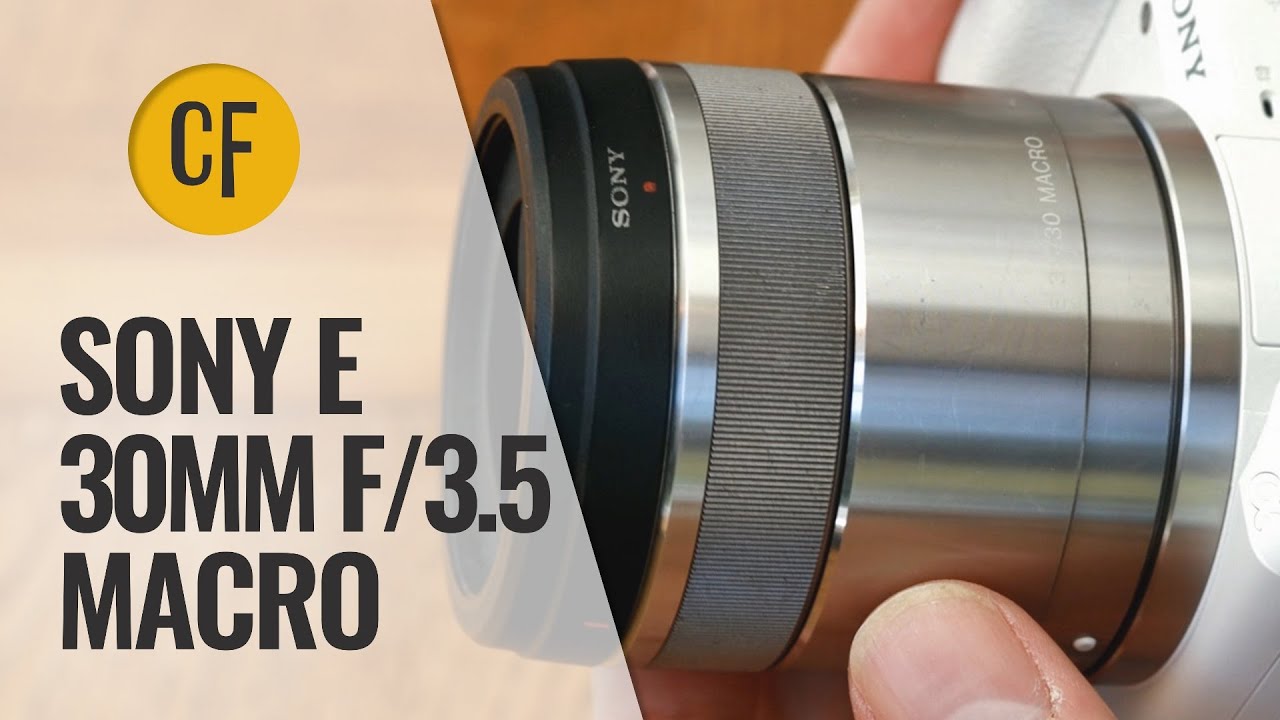 Обзор макрообъектива Sony E 30mm f/3.5 с примерами