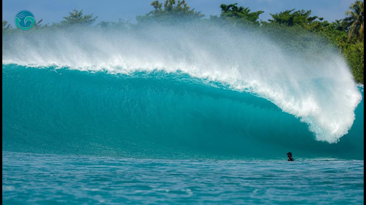 Macaronis Resort ||  01-08 August 2025 {Biggest Greenbush & Rednut of 2025}