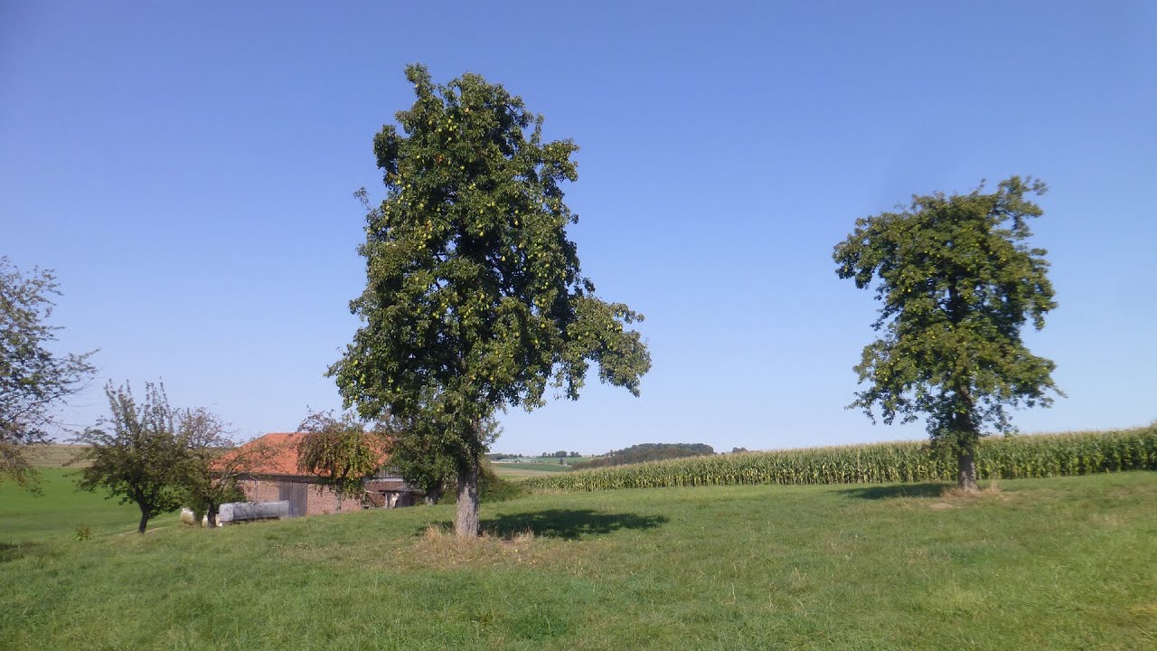Wandern - Bergisches Land, Zwischen Ratingen und Mettmann