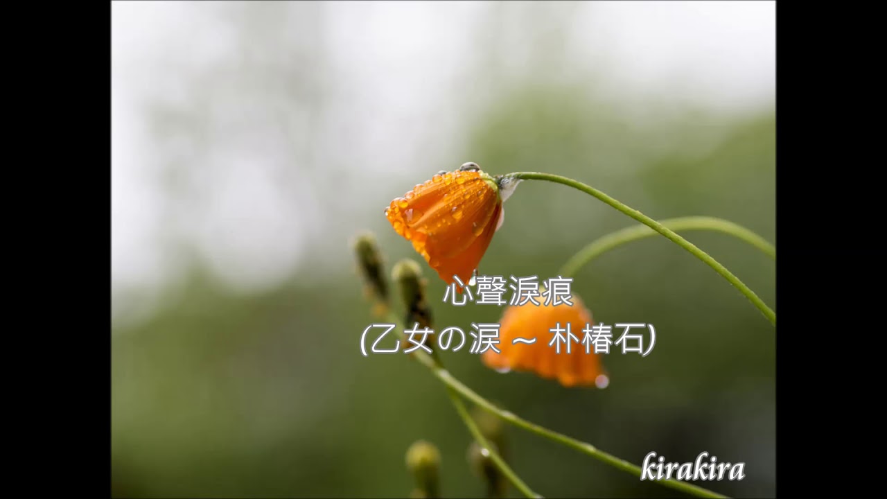 懷念的老歌🎶 心聲淚痕~ 乙女の涙 ~ 朴椿石 (韓國作曲家)~交響詩演奏版✿ 懷舊老歌 📻