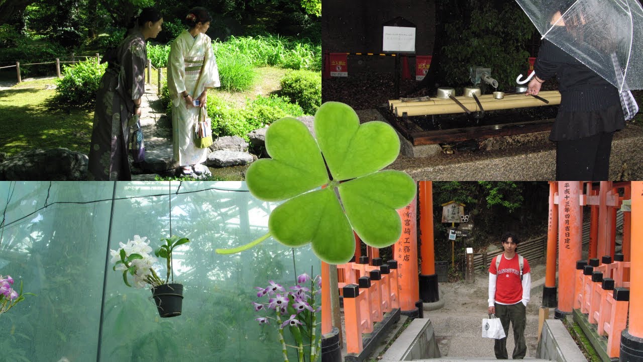my lucky trip to japan