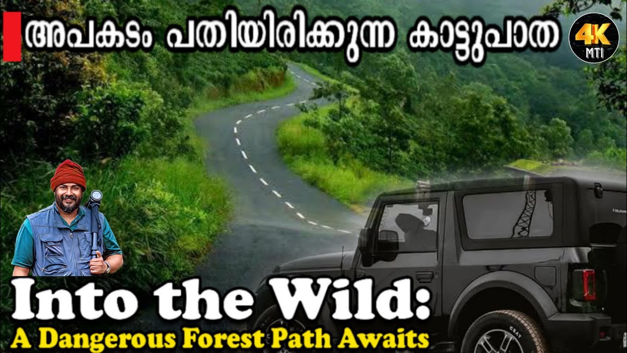 അപകടം പതിയിരിക്കുന്ന കാട്ടുപാതകൾ #mytravelimprints #karikkaden #wildlife #gavi #mtiwildlife