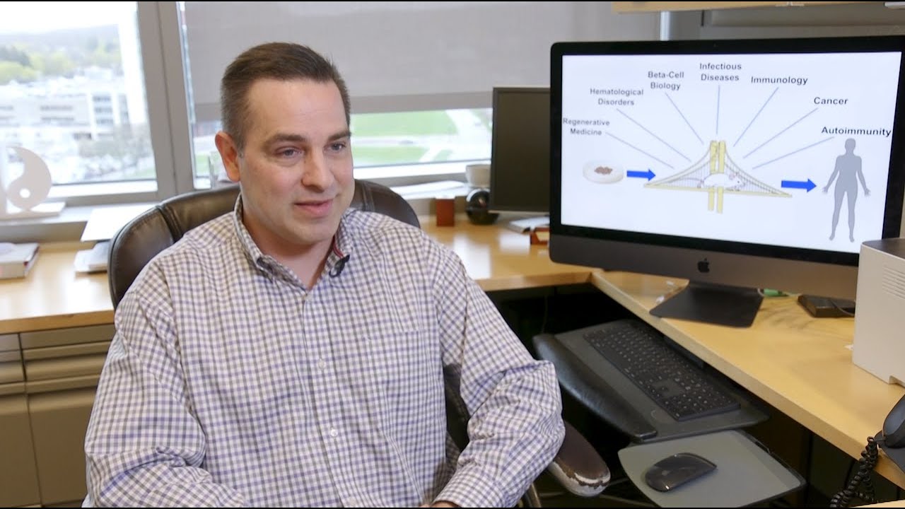 Precision medicine for type 1 diabetes