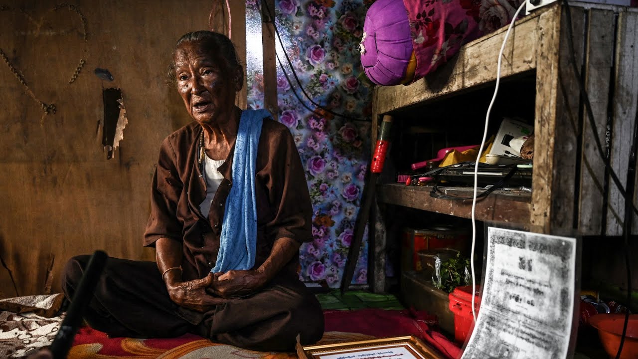 ဒေါ်စန်းရီ (သို့) အာဇာနည်ဗိမာန်ဗုံးခွဲ မြောက်ကိုရီးယားသူလျှိုကိုဖမ်းခဲ့သူ