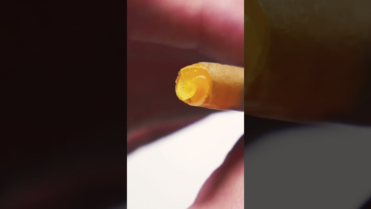 NOT just a regular preroll 🔥 It&rsquo;s a 710 DOINK with pasta mouthpiece upgrade! 😎 #shorts