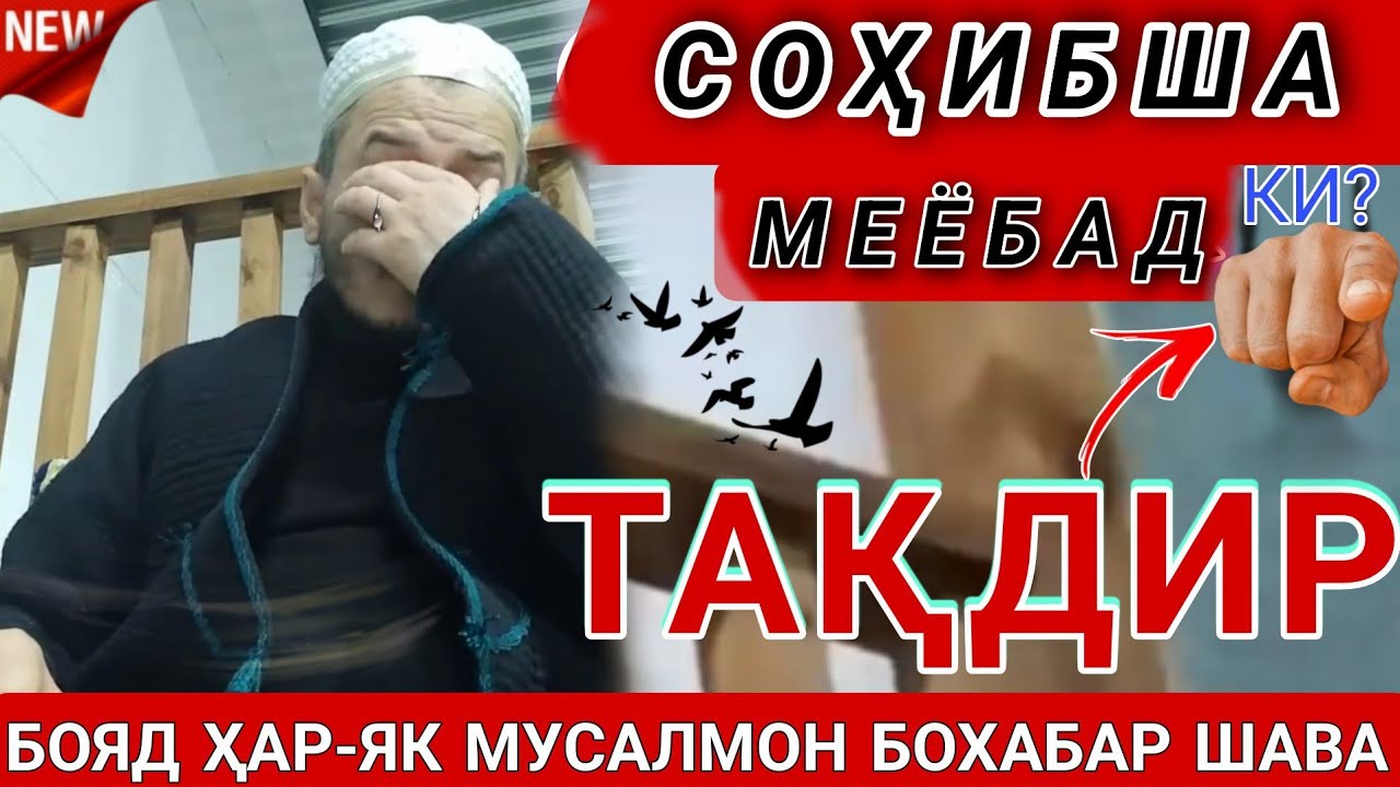 ДОМУЛЛО АКБАРЧОН АМРИ МАЪРУФ 2025. DOMULLO ACBARJON 2025. AMRI MARUF