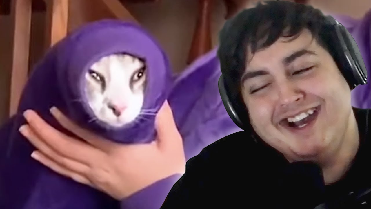 Pokelawls reacts to Unusual memes and Daily Dose of Internet