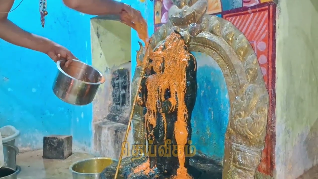 திருவாரூர் கீழவீதி அருள்மிகு தூவாயநாதர் ஆலய மார்கழி மாத தேய்பிறை அஷ்டமி பைரவர் தரிசனம் 10.01.2026