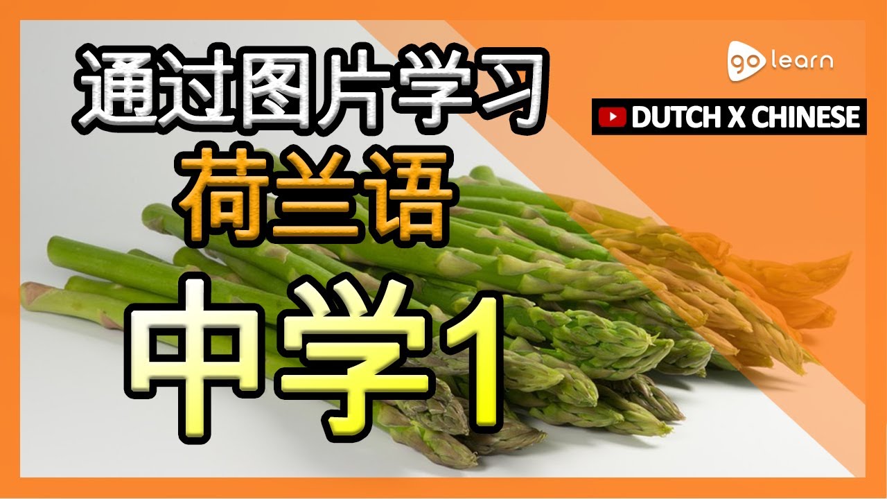 通过图片学习荷兰语|荷兰语词汇中学1 | Golearn