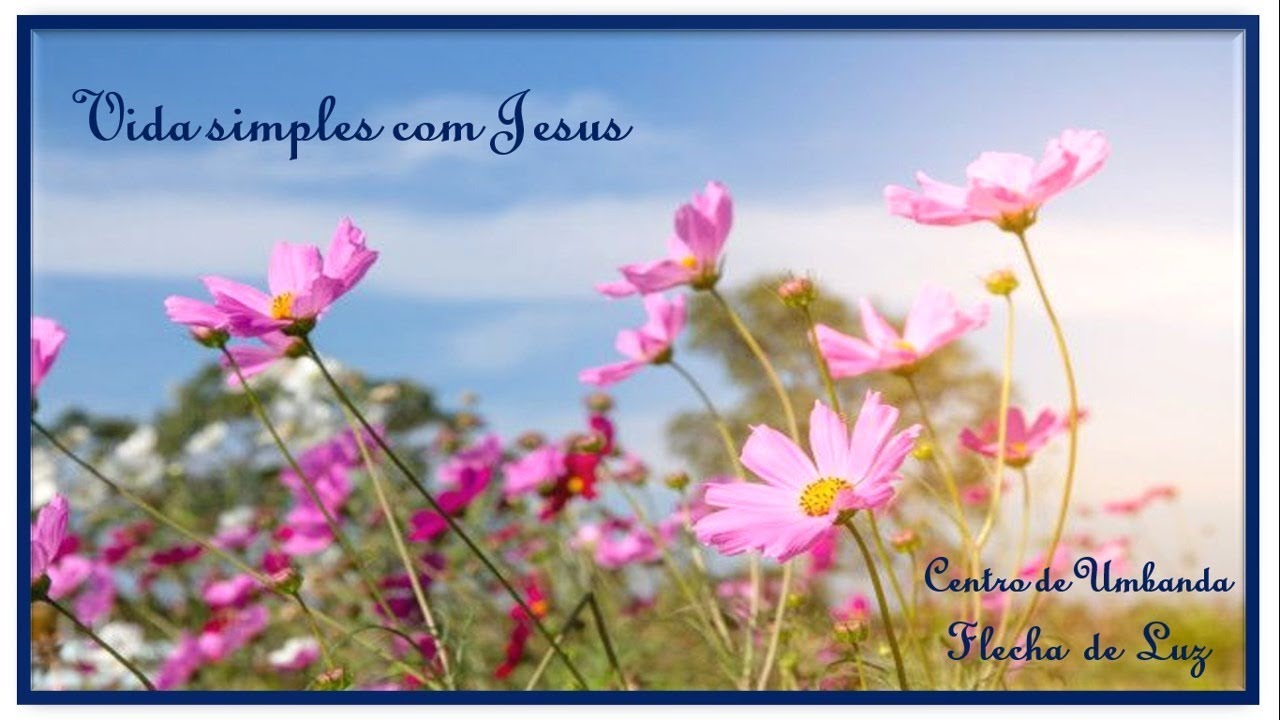 VIDA SIMPLES COM JESUS