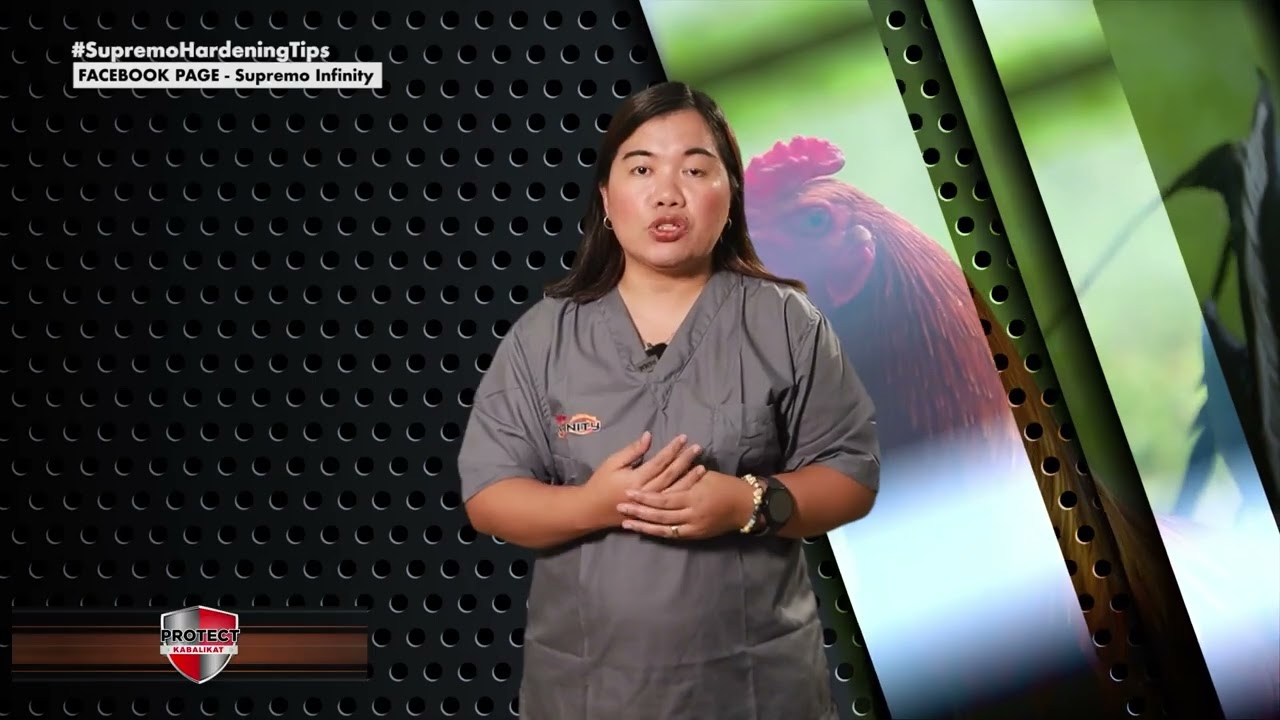 Protektado ka sa Supremo | Bakit nga ba nangangayayat ang inyong mga manok sa hardening stage?