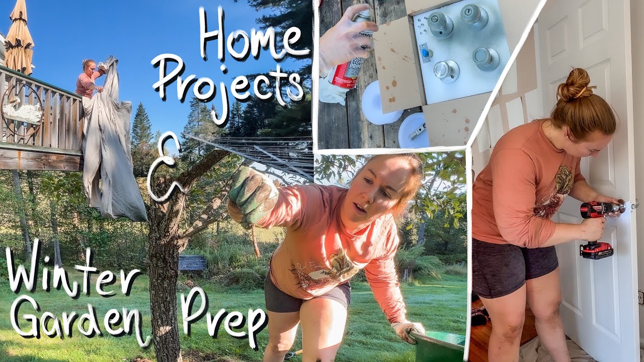 First home renovations | Cleaning garden beds, clearing trees & more... |VLOG
