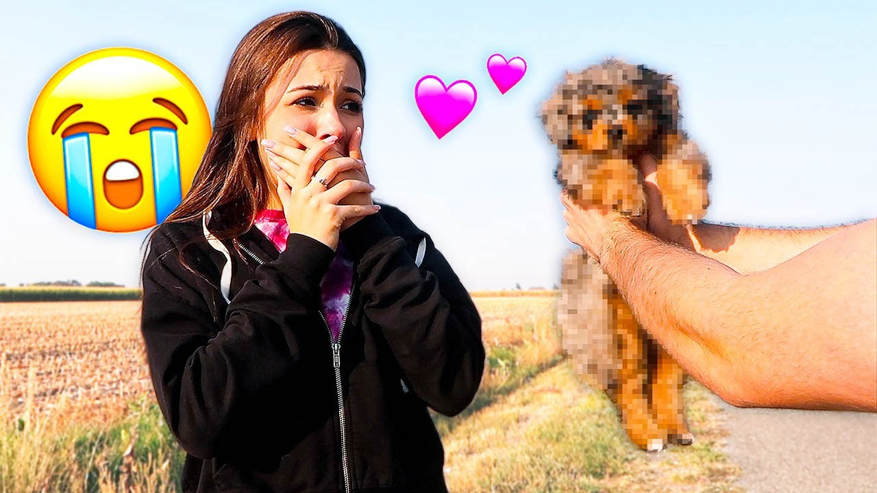 СЮРПРИЗ ДЛЯ МОЕГО ЖЕНИХА ЩЕНКОМ!! *Она плакала*