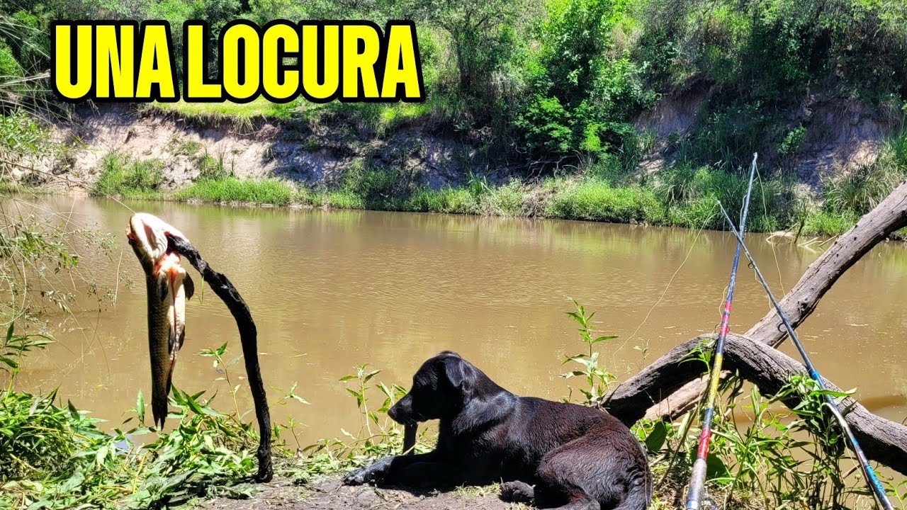 INCREÍBLE LUGAR !!🔥🔥🎣 TREMENDOS PESCADOS SAQUE EN ESTE LUGAR - PESCA Y COCINA