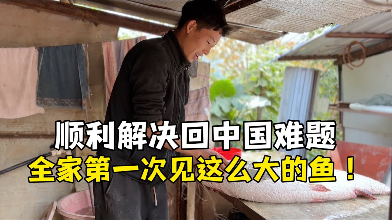 中國女婿給丈母娘做麻辣魚，第一次見這麼大的草魚：太稀奇！