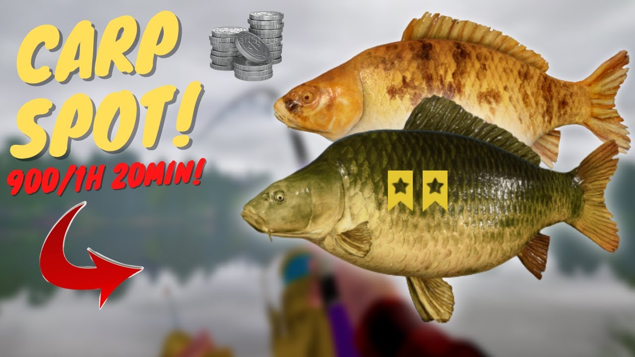 CARP SPOT IN AMBER LAKE! 900/1H 20MIN! HITTING 100K SILVER! | #672 Russian fishing 4