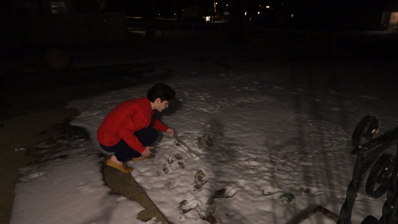 snow packed bong rips