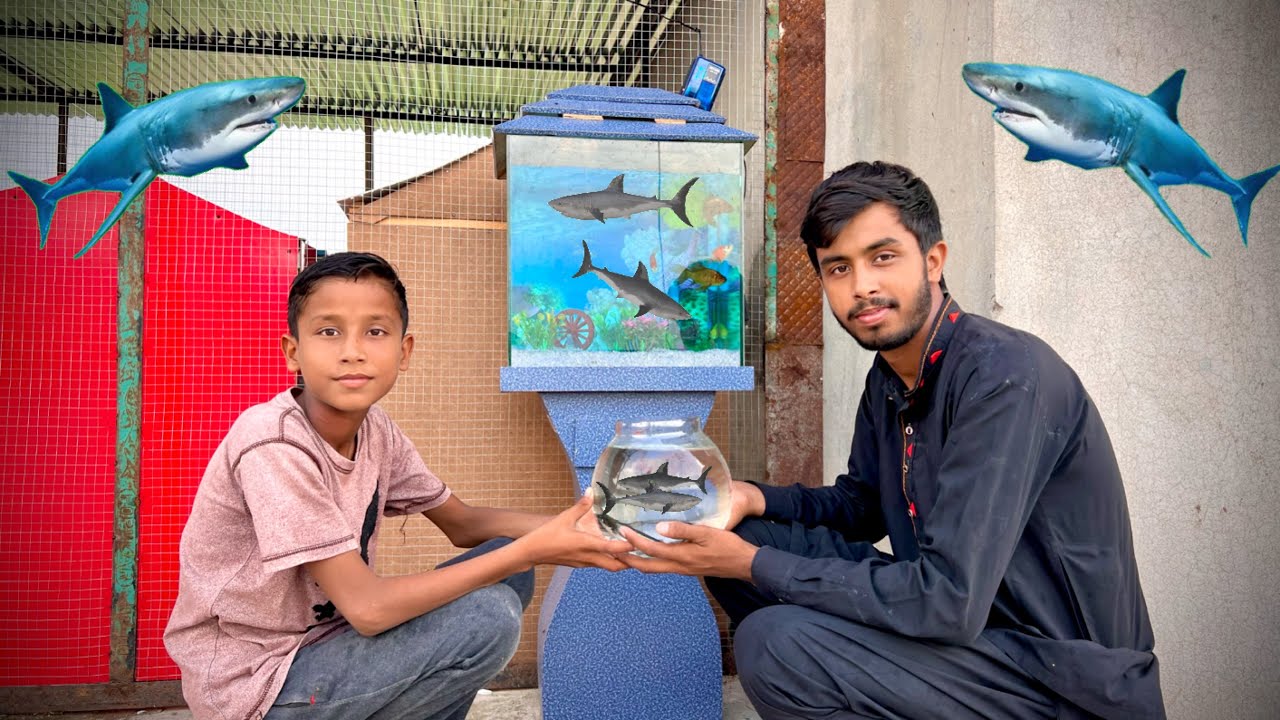 New shark fish Aa Gai 🦈