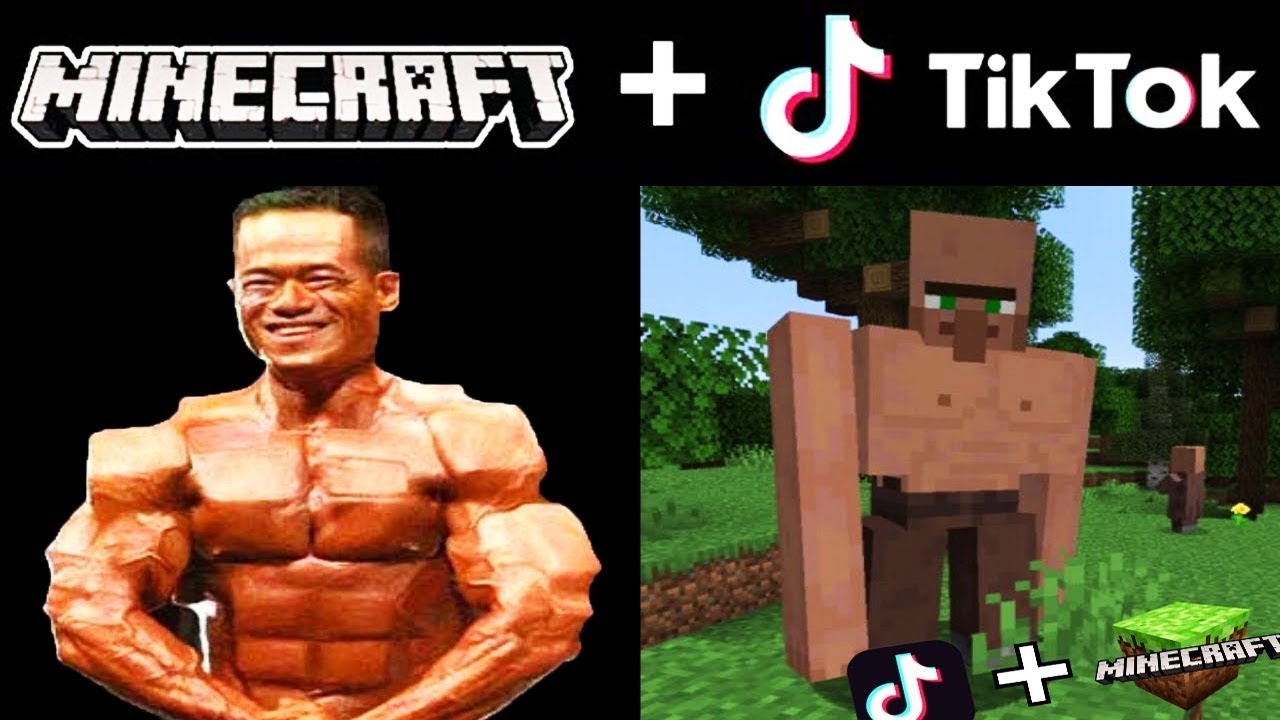 MİNECRAFT TİK TOK VİDEOLARI 3 ( ohaa )