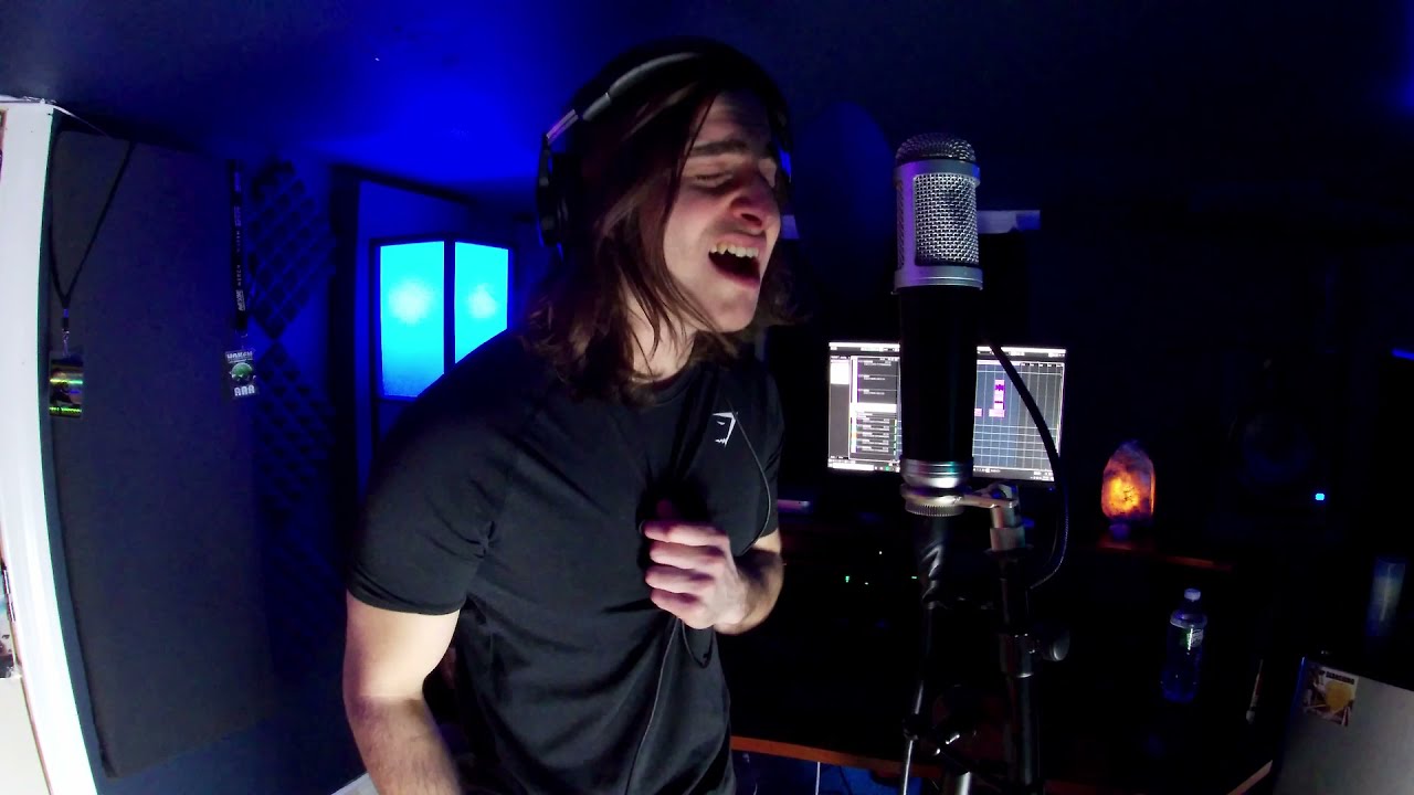 Animal I Have Become – Three Days Grace Cover