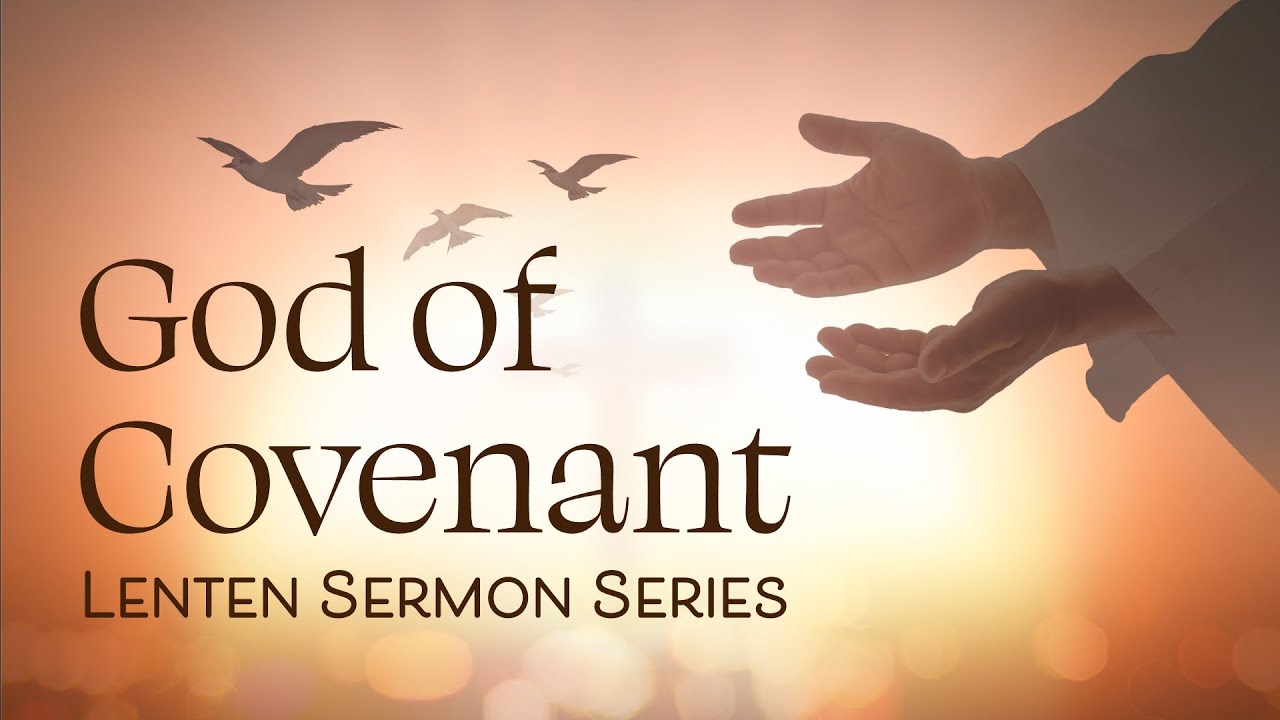 God of Covenant Week 2 | The Covenant with Noah