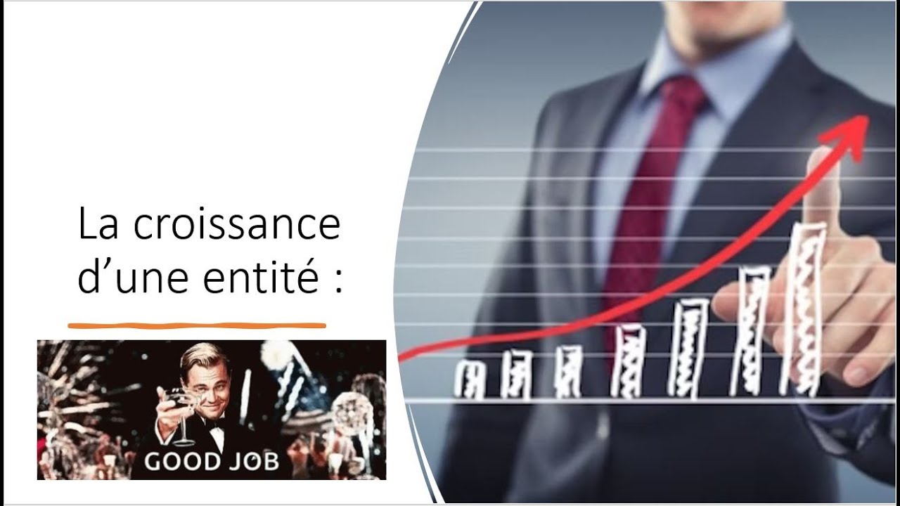 Comprendre les diff&eacute;rentes strat&eacute;gies de croissance d'une entreprise 📈