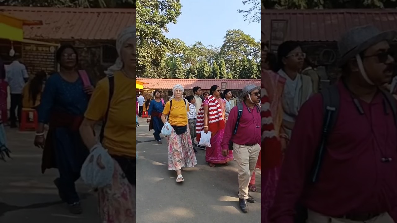 Mayapur Mandir Darshan 🌸 | Mini Vlog December 24, 2025