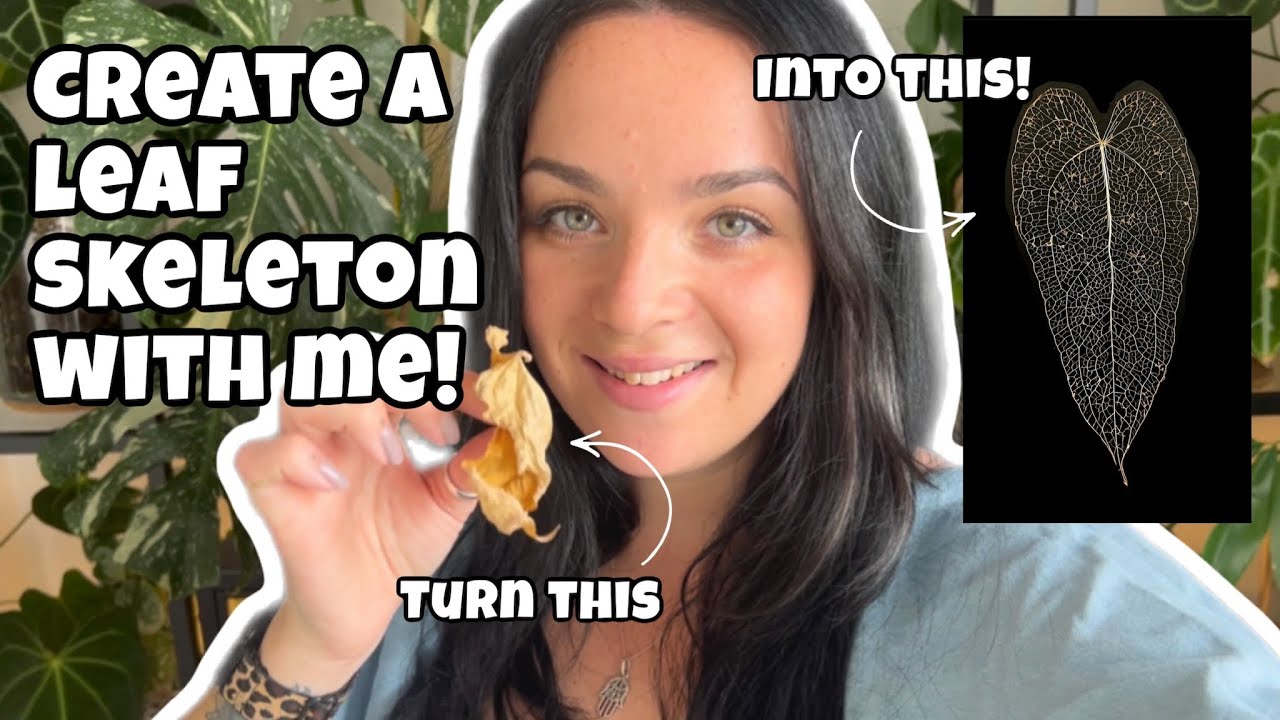 How to make a leaf skeleton ☠ Anthurium skeleton leaf 👻 Spooky Season 👻