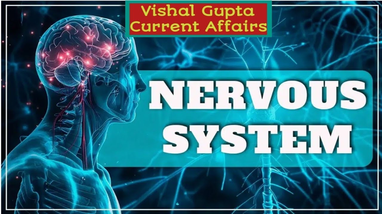 NERVOUS SYSTEM 