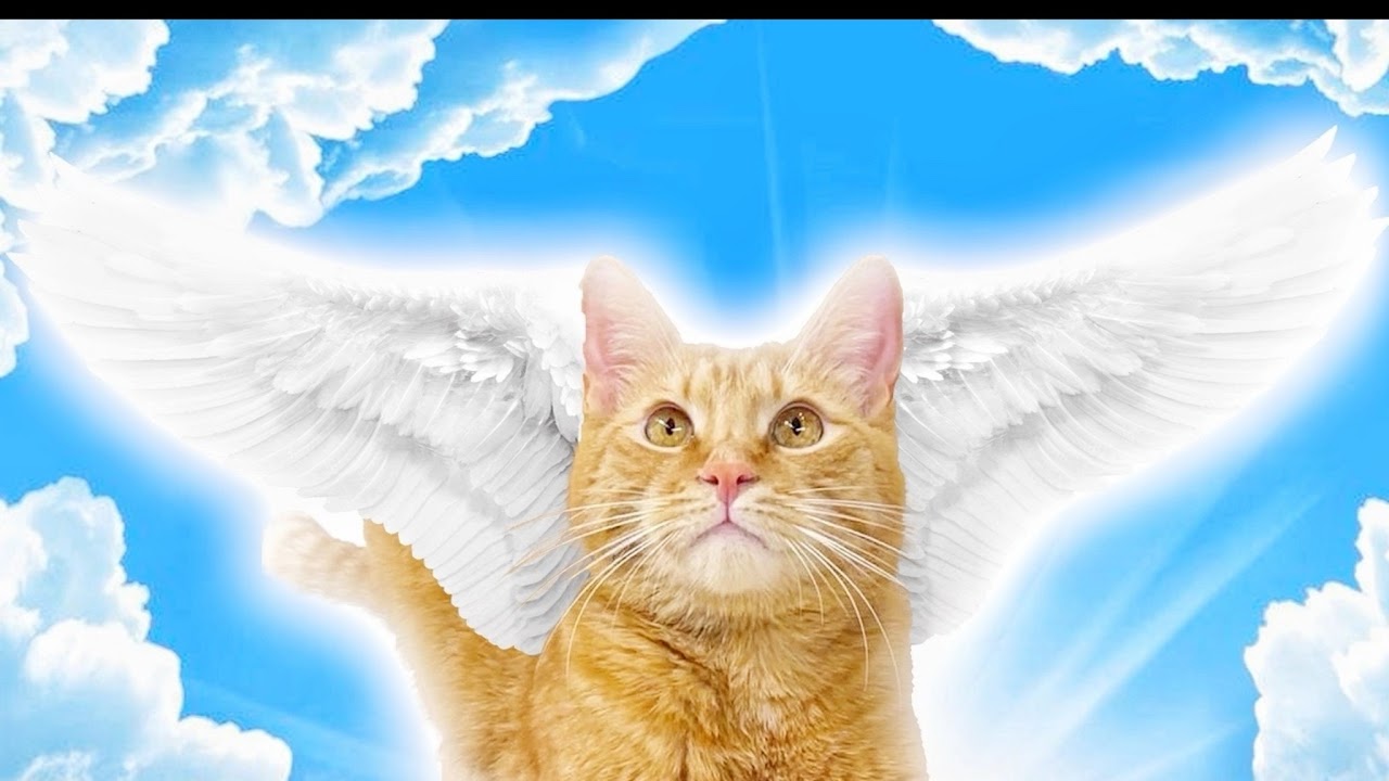 geometry Dash НЕ ВЫКЛЮЧАЮ СТРИМ ПОКА НЕ ПРОЙДУ ЛИМБО ИЗИ😰