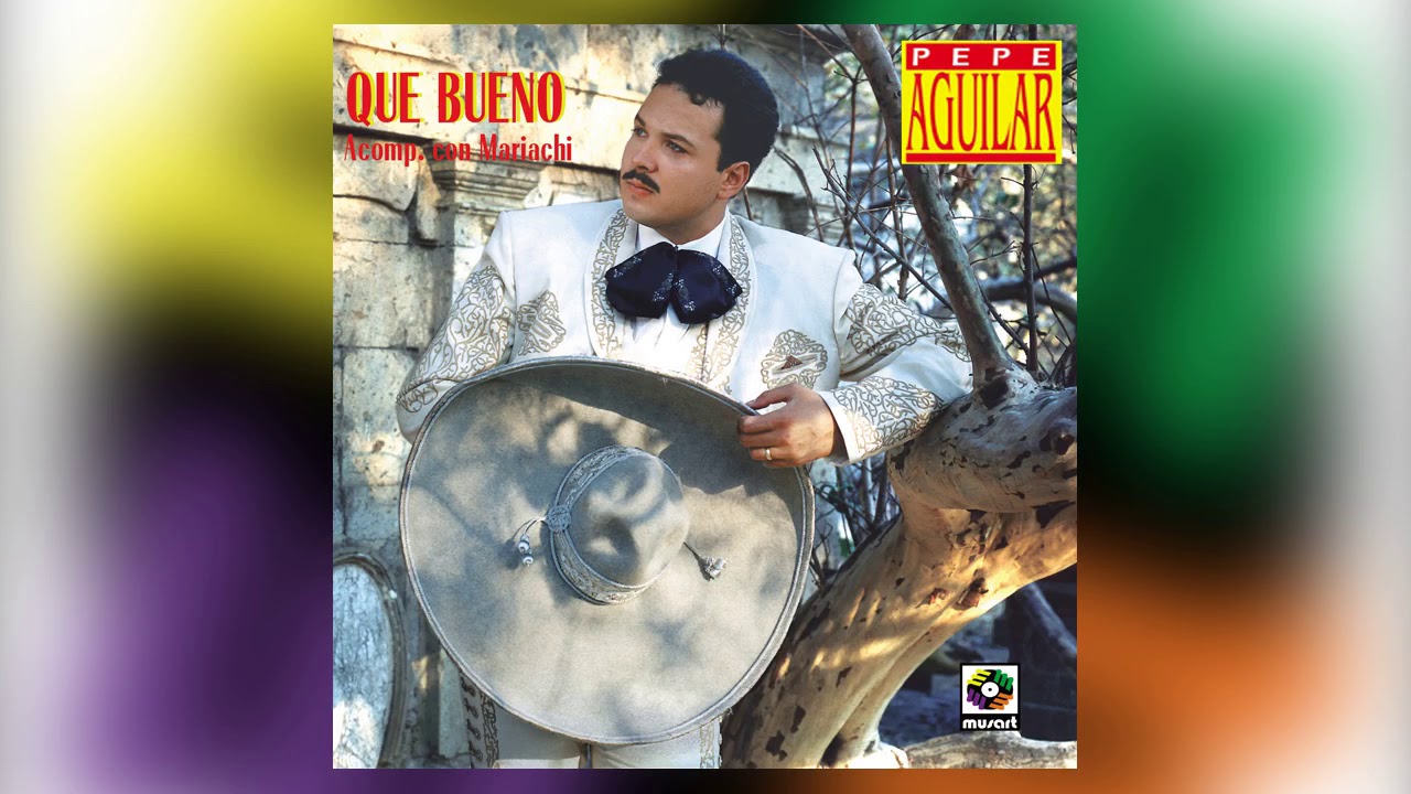 Ahorita Me Voy - Pepe Aguilar - del álbum Que Bueno