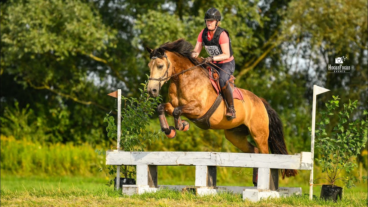 SGW West Betuwe B paarden, 17 augustus 2024