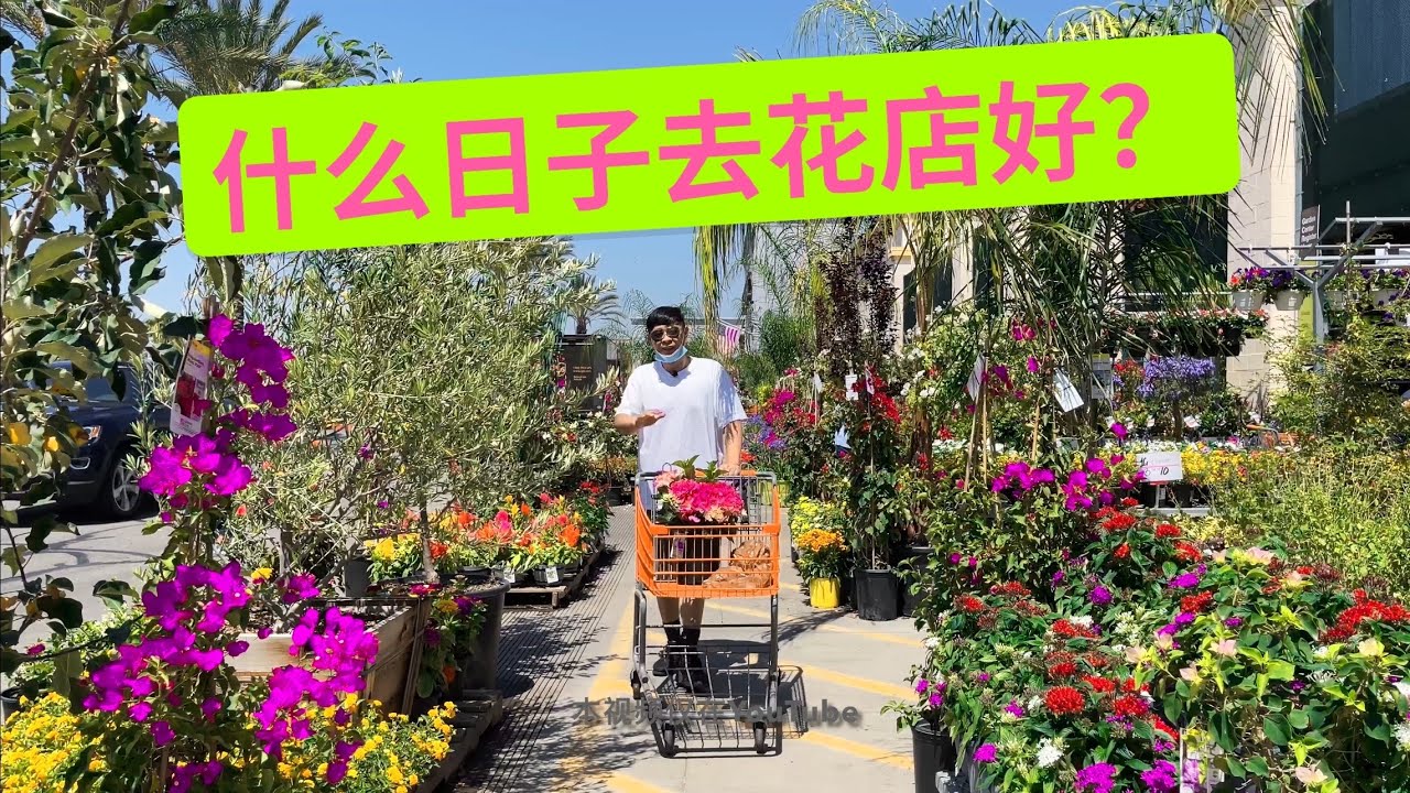 花店什么时候好货多？心仪品种可能在等你哦！（园艺篇257）