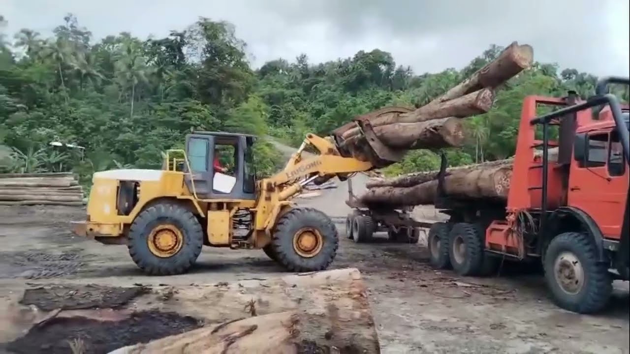Kepiting Besi Warna Kuning Naikkan Kayu Besar Ke Truck 