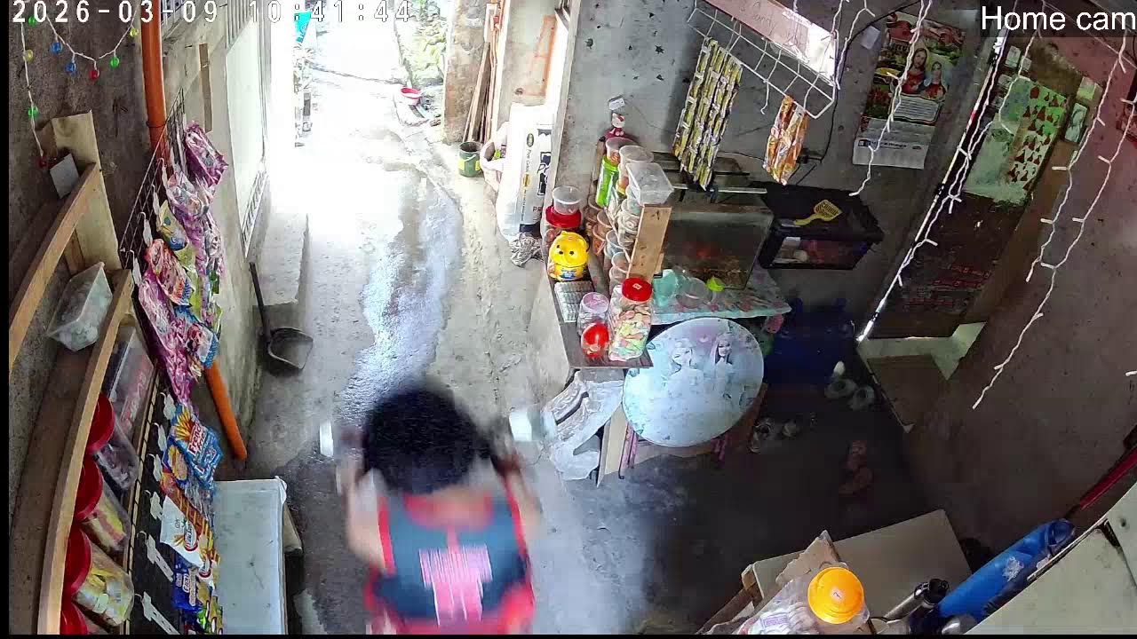 Lola's Home - Home Cam- My Everyday life