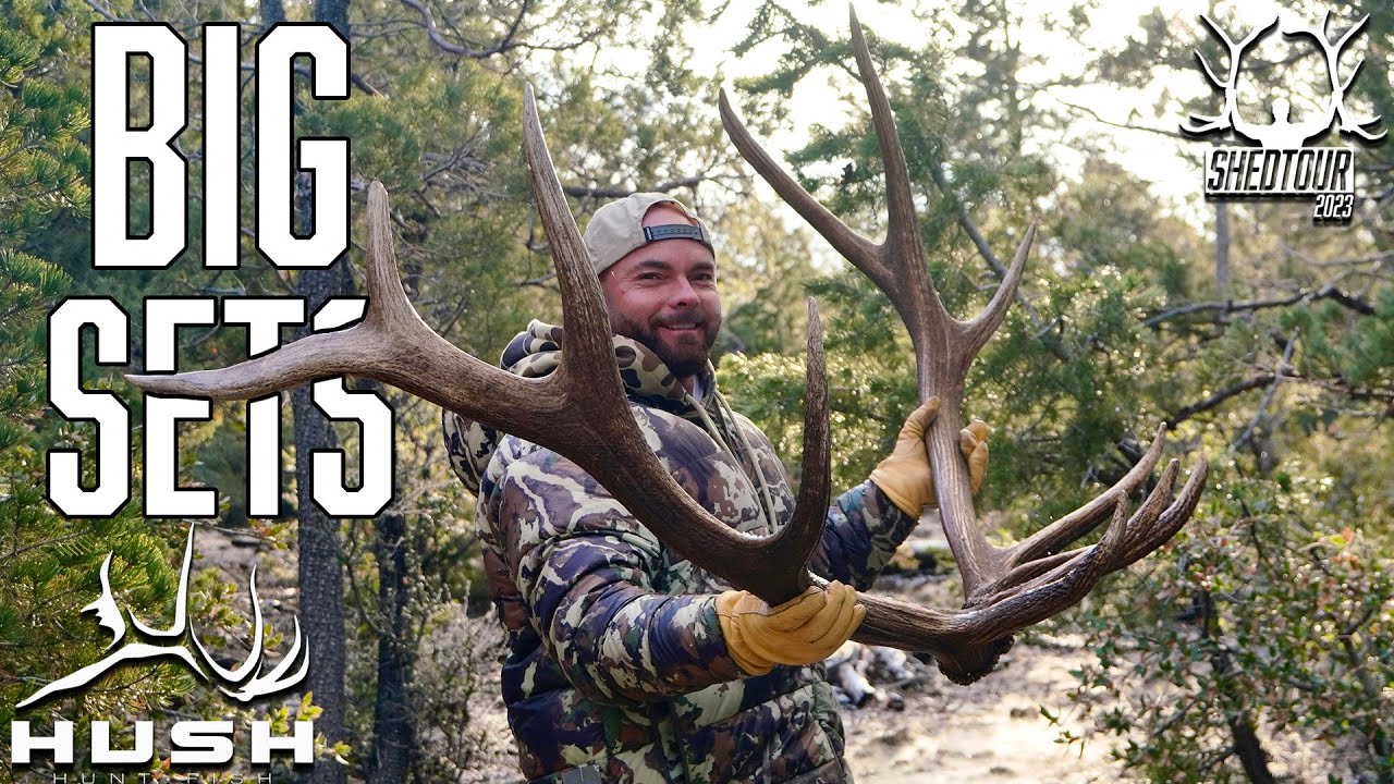BIG BROWN ELK SHED SETS | SHEDTOUR S5EP3